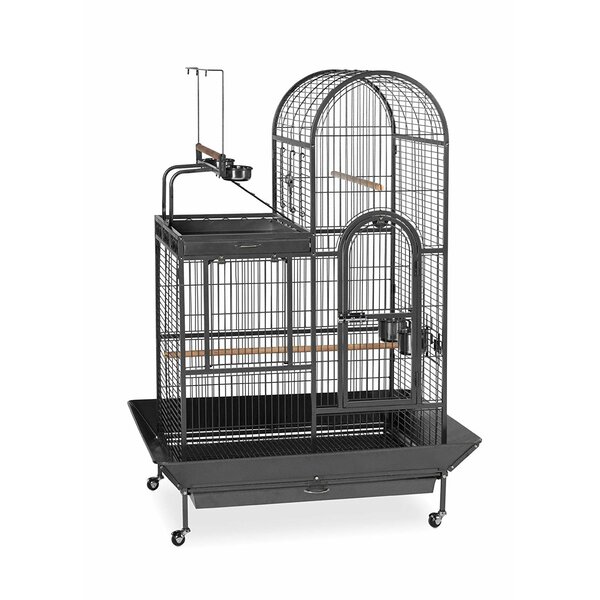 Cat proof shop bird cage